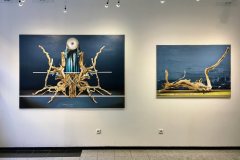roots_007